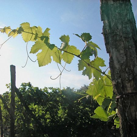 Canonica Di Corteranzo Murisengo Luaran gambar